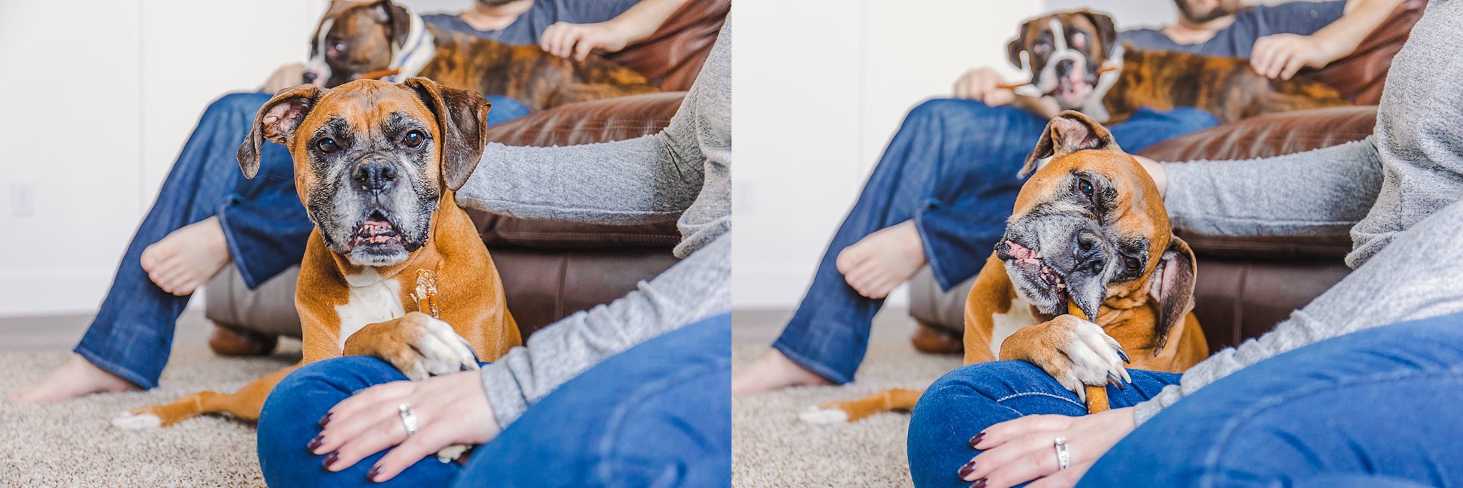 Salt Lake City,couple,hilary gardiner photography,home,in home lifestyle session,lifestyle,pets,photographer,utah valley,