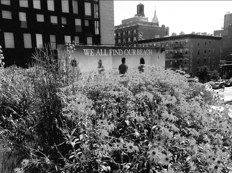 We All Find Our Beach (2013)