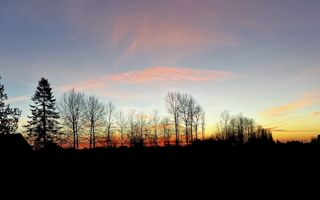 Washington  Sunset (2021)